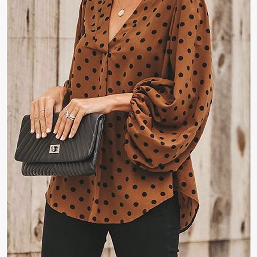 Brown polka dotted Blouse